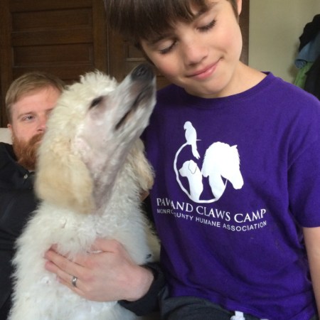 Able in This Diverse Universe Essay Competition